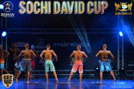 Sochi David Cup - 2017