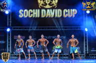 Sochi David Cup - 2017