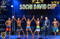 Sochi David Cup - 2017