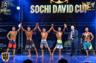Sochi David Cup - 2017