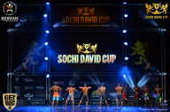 Sochi David Cup - 2017