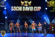 Sochi David Cup - 2017