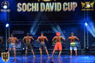 Sochi David Cup - 2017