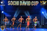 Sochi David Cup - 2017