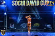 Sochi David Cup - 2017
