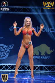 Sochi David Cup - 2017