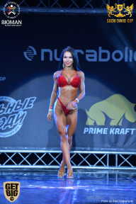 Sochi David Cup - 2017
