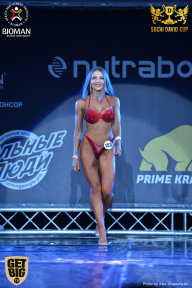 Sochi David Cup - 2017