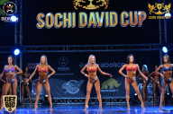 Sochi David Cup - 2017