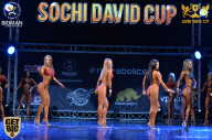 Sochi David Cup - 2017