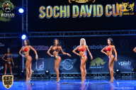 Sochi David Cup - 2017