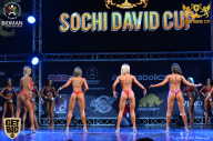 Sochi David Cup - 2017
