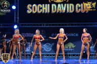 Sochi David Cup - 2017
