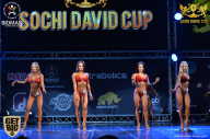 Sochi David Cup - 2017