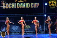Sochi David Cup - 2017