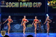 Sochi David Cup - 2017