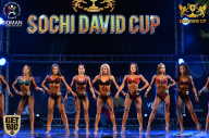 Sochi David Cup - 2017