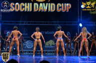 Sochi David Cup - 2017