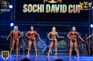 Sochi David Cup - 2017
