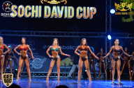 Sochi David Cup - 2017