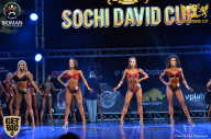 Sochi David Cup - 2017