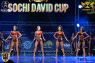 Sochi David Cup - 2017