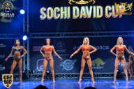 Sochi David Cup - 2017