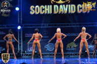 Sochi David Cup - 2017