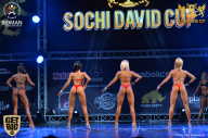 Sochi David Cup - 2017