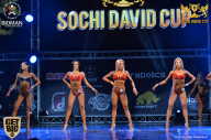 Sochi David Cup - 2017