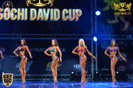 Sochi David Cup - 2017