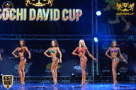 Sochi David Cup - 2017