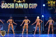 Sochi David Cup - 2017