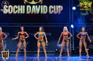 Sochi David Cup - 2017