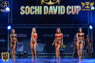 Sochi David Cup - 2017
