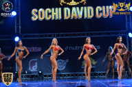 Sochi David Cup - 2017