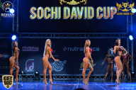 Sochi David Cup - 2017