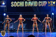 Sochi David Cup - 2017