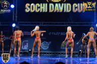 Sochi David Cup - 2017