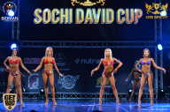 Sochi David Cup - 2017