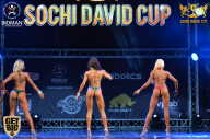 Sochi David Cup - 2017