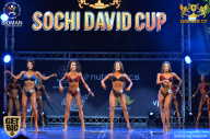 Sochi David Cup - 2017
