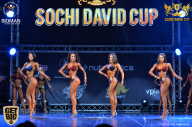 Sochi David Cup - 2017