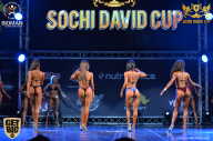 Sochi David Cup - 2017