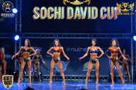 Sochi David Cup - 2017