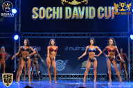 Sochi David Cup - 2017