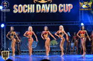 Sochi David Cup - 2017