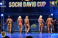 Sochi David Cup - 2017