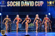 Sochi David Cup - 2017