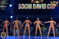 Sochi David Cup - 2017
